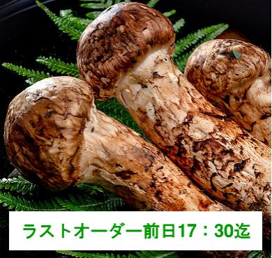【予約商品】松茸L（9～12cm)1KG 約12-16 個入