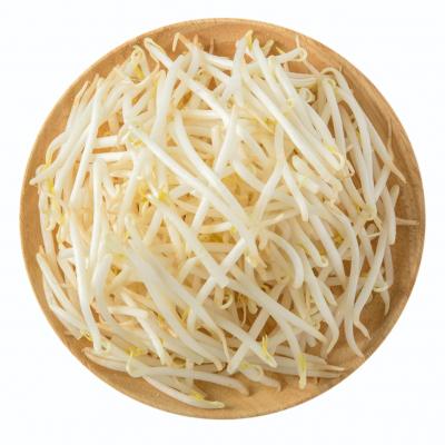 祖名 緑もやし 300g