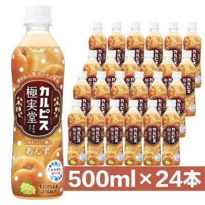 アサヒ カルピス 極実堂 あんず 500ml×24本入り(1...