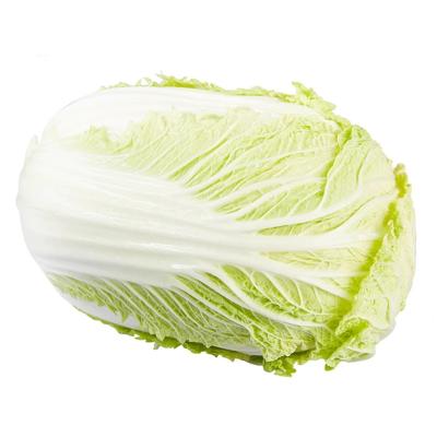 はくさい 整個 約1kg