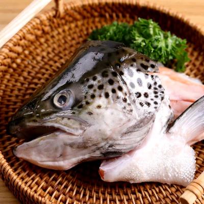サーモン 頭（冷凍） 400g