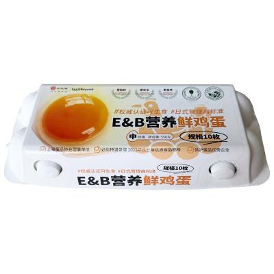 必优特たまご 10個入+プレゼント4個