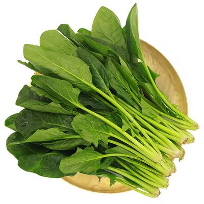 ほうれん草 約250g