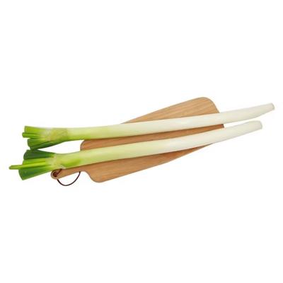 厳選 長ネギ 約400g