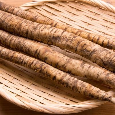ごぼう 約300g