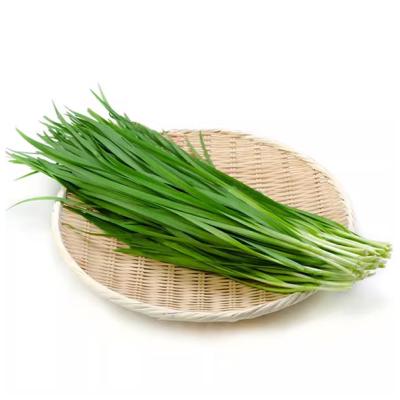 ニラ 約250g