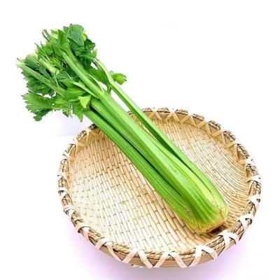 セロリ 約400g