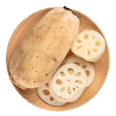 蓮根 約350g
