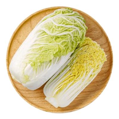 大きな娃々菜 約600g